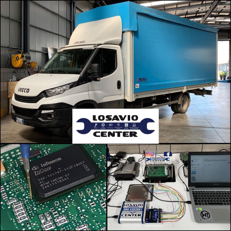 Images Losavio Center