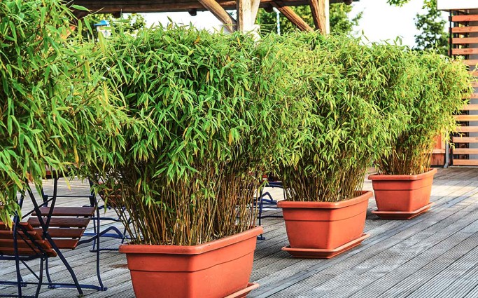 Müller Gartenbau Wilen-Wollerau, Hungerstrasse 44 in Wilen-Wollerau