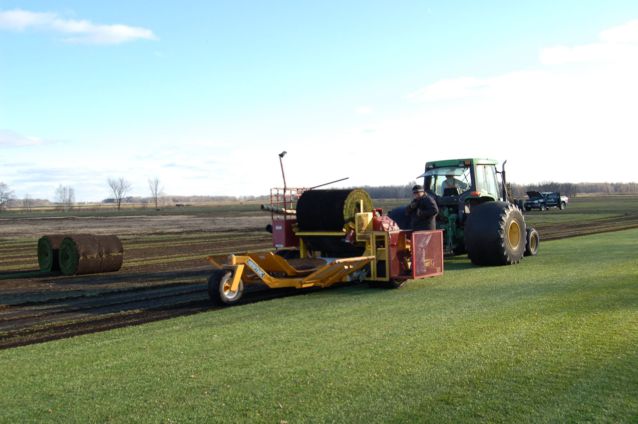 Need sod fast? We offer convenient pickup and delivery from our three MN locations: Princeton, Elk River, and Lino Lakes. Freshly harvested and ready for your soil!