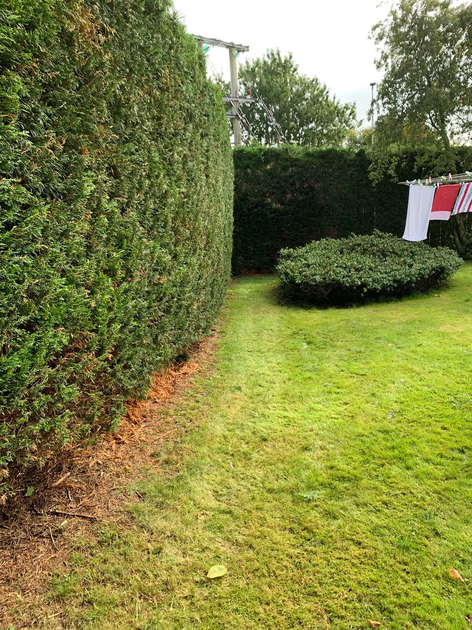 Images G4 Landscaping & Property Maintenance