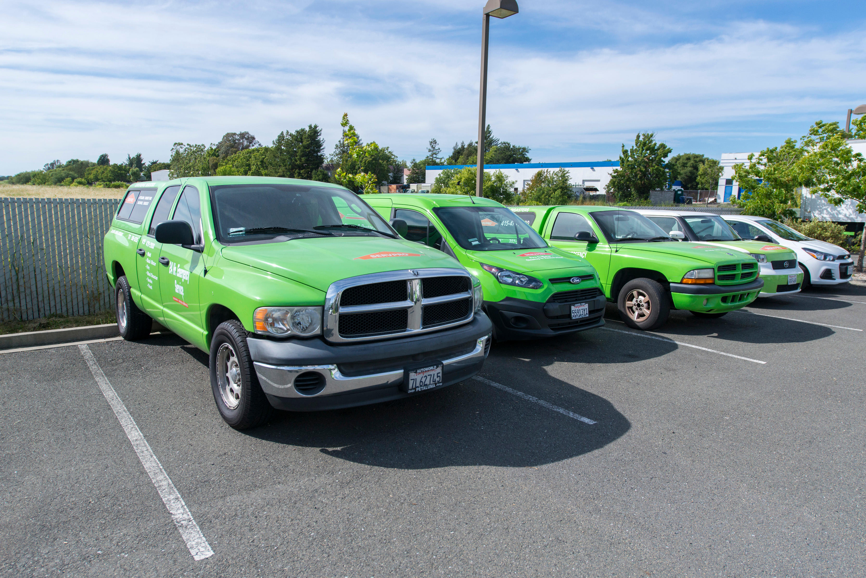 SERVPRO of Petaluma/Rohnert Park/Santa Rosa official bright green vehicles used for damage restoration services.
