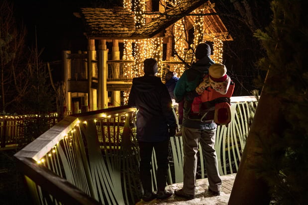 Images voco Saranac Lake NY - Waterfront by IHG