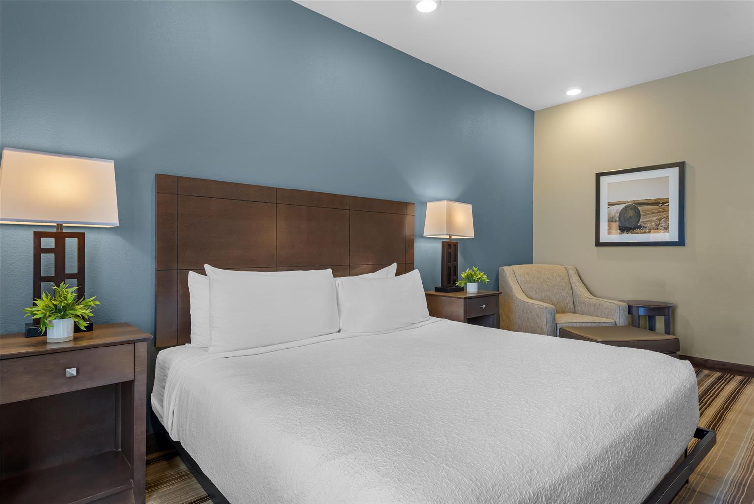 ADA King Room