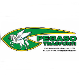 Pegaso Trasporti Logo