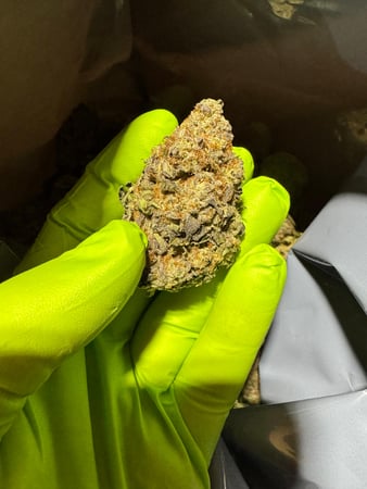 Images Wholesale Hemp Farms