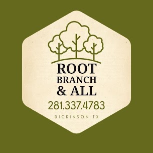 Root Branch N' All