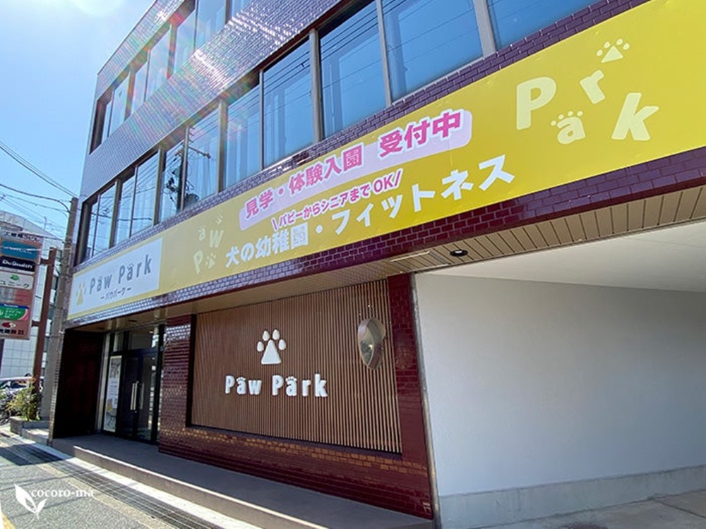 Images PawPark 犬のようちえん 高槻店