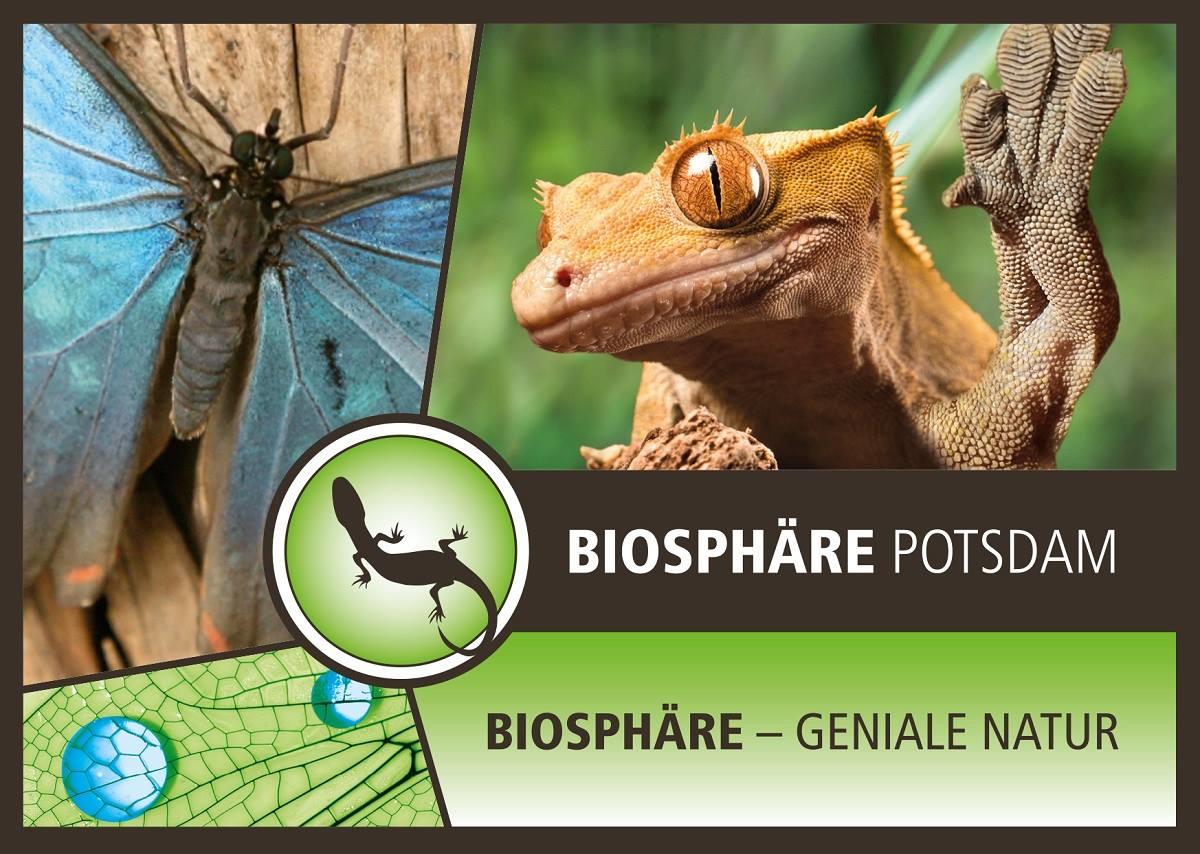 Biosphäre Potsdam, Georg-Hermann-Allee 99 in Potsdam