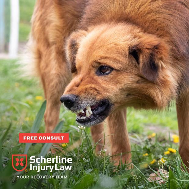 Images Scherline Injury Law