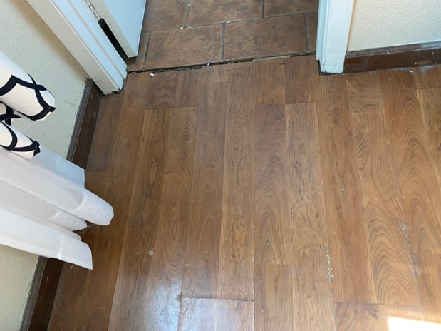 Images Water Damage Professionals