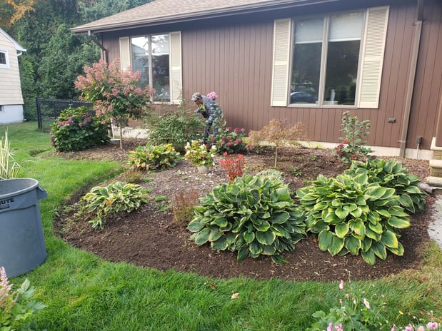 Images AAA PROFESSIONAL LAWN CARE