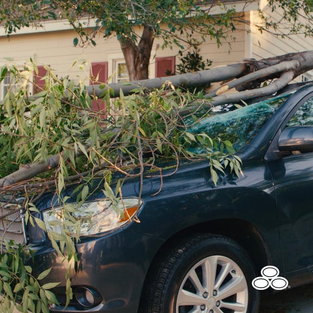 Images Austin Stein - State Farm Insurance Agent