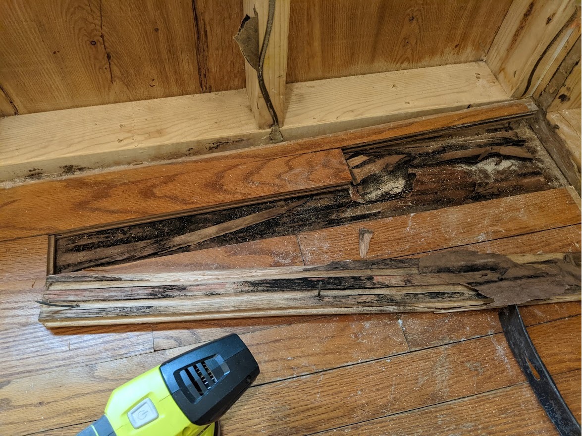 Wood flooring mold inspection photo showing visible mold and moisture damage beneath flooring materials.