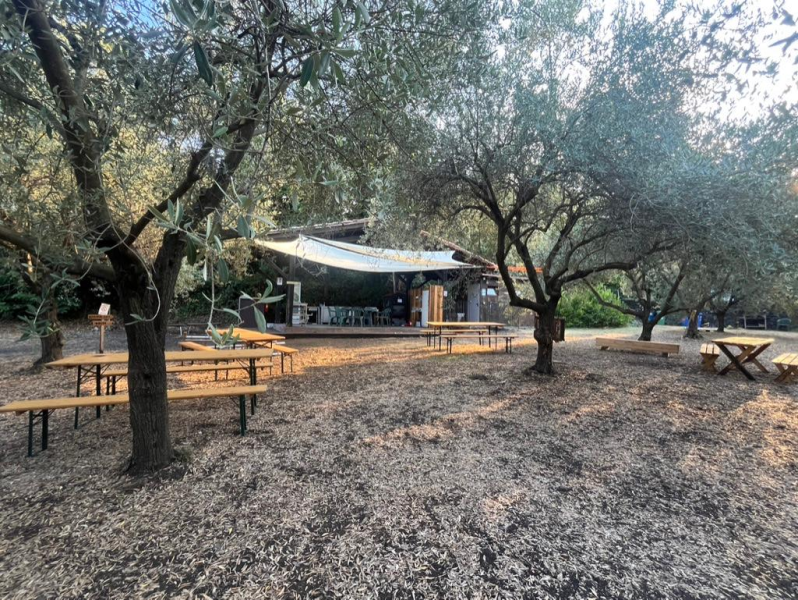 Images Il Pigno