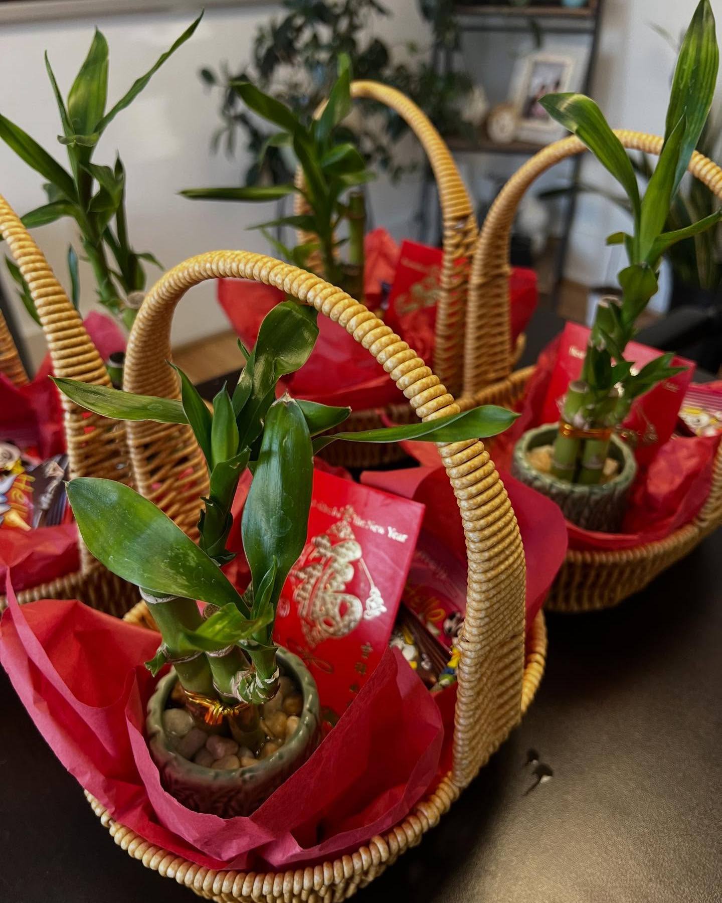 Today we celebrated Lunar New Year with red envelopes and bamboo plants! Grateful for a team that works hard and grows together. Wishing everyone a year filled with abundance, success, and new opportunities.