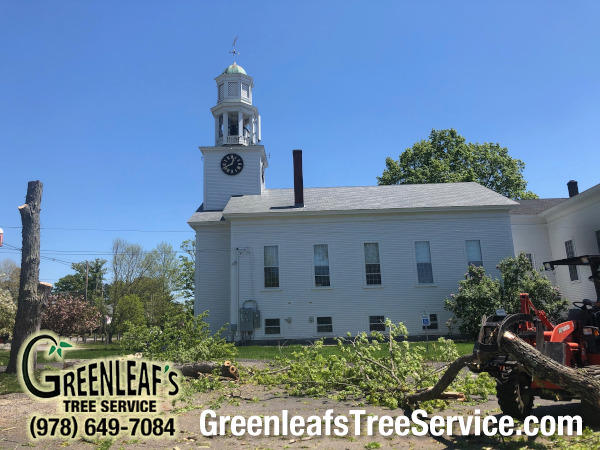 Greenleaf's Tree Service Photo