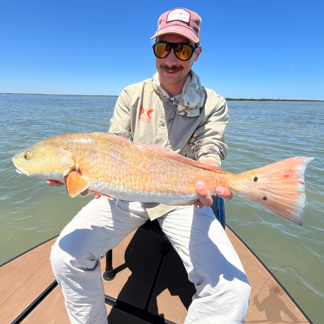 Coast Wise Inshore Sport Fishing