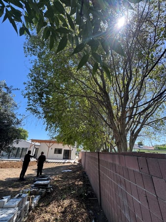 Images Cruz Tree Service
