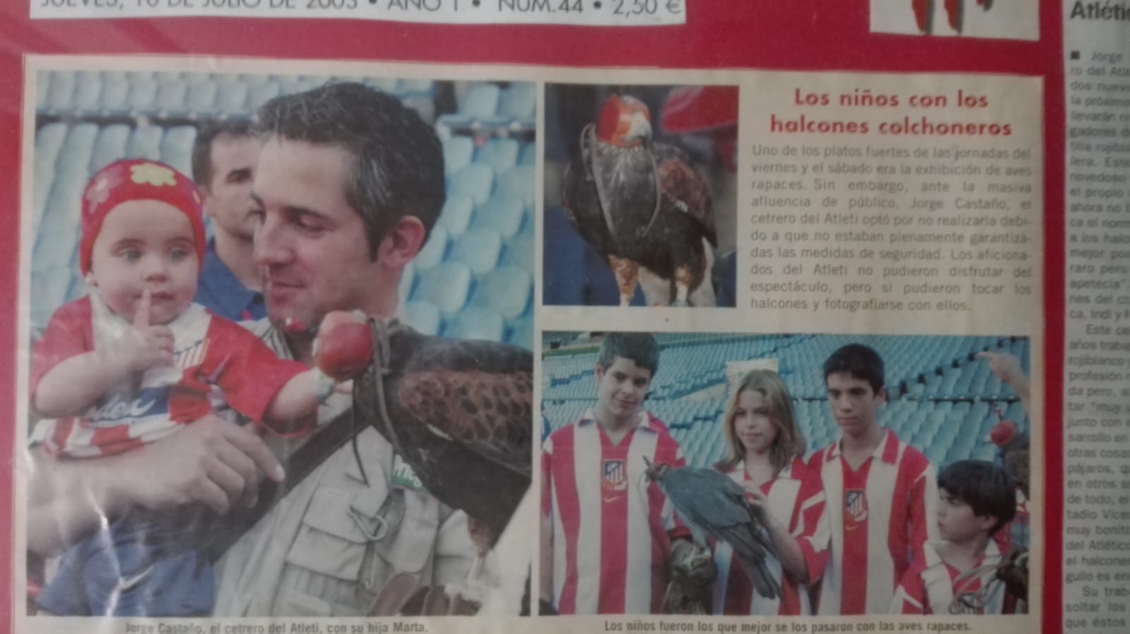 Images Bird Control Falcon S.L.