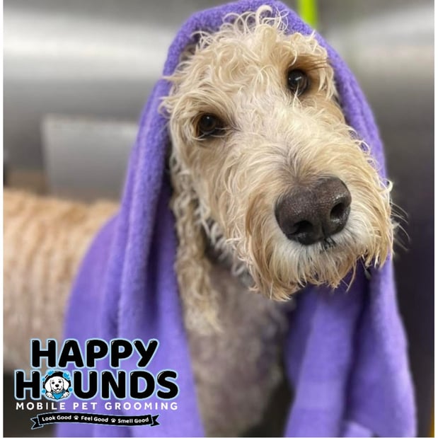 Images Happy Hounds Mobile Pet Grooming
