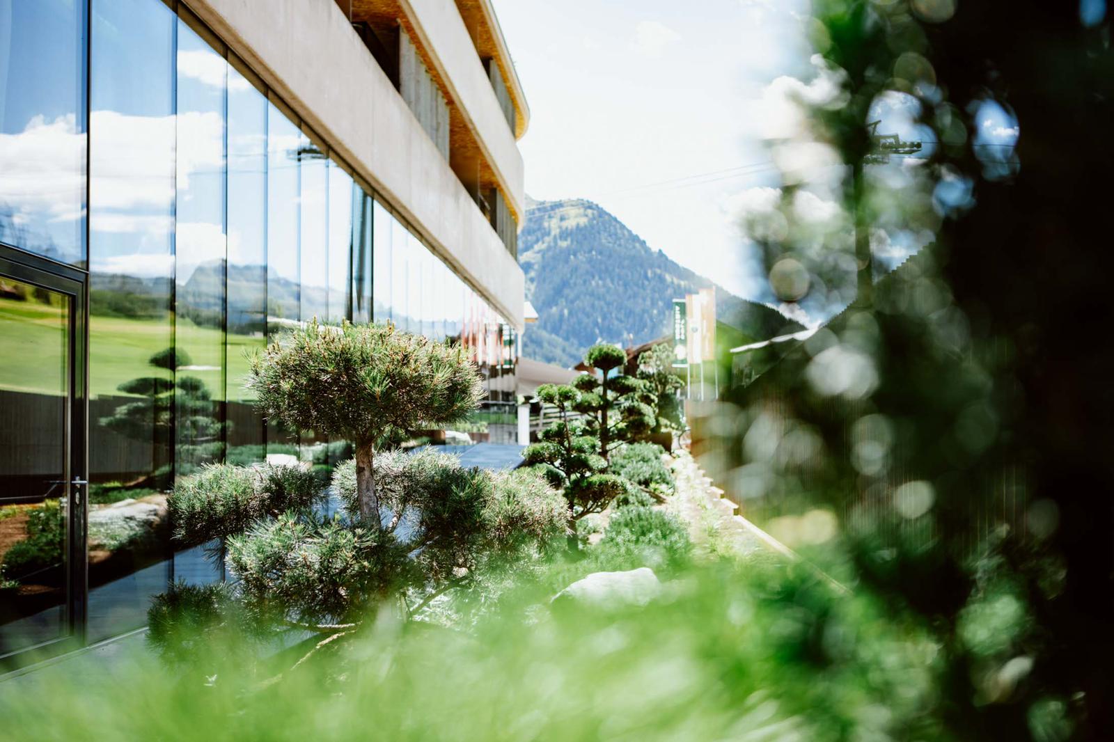 Bild 2 von Grasberger Gartengestaltung - Nur Garten im Kopf