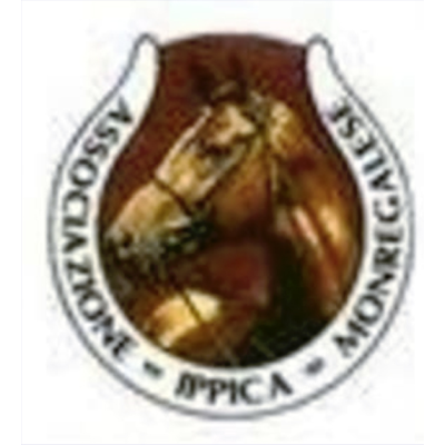 Associazione Ippica Monregalese Logo