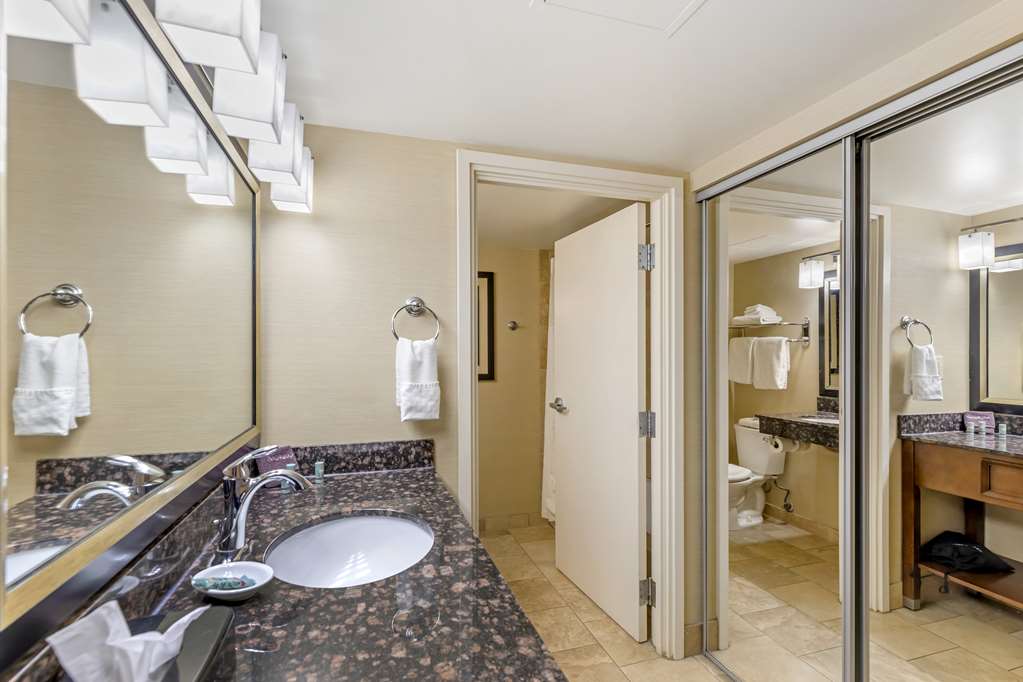 King - Pet Friendly Bathroom