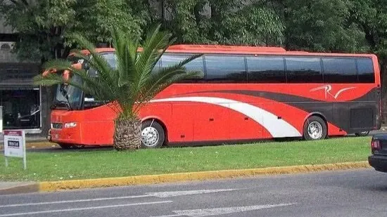 Images Ruiz Vitela Empresarial