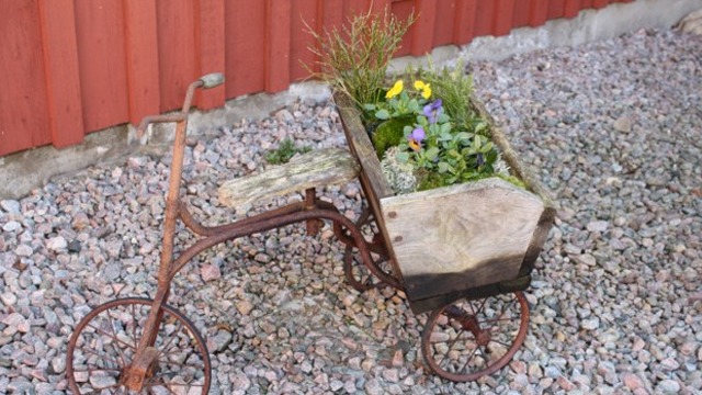 Images Gräddhyllans Lantcafé AB