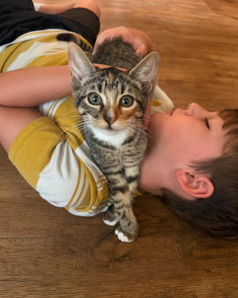 Happy National Kitten Day!