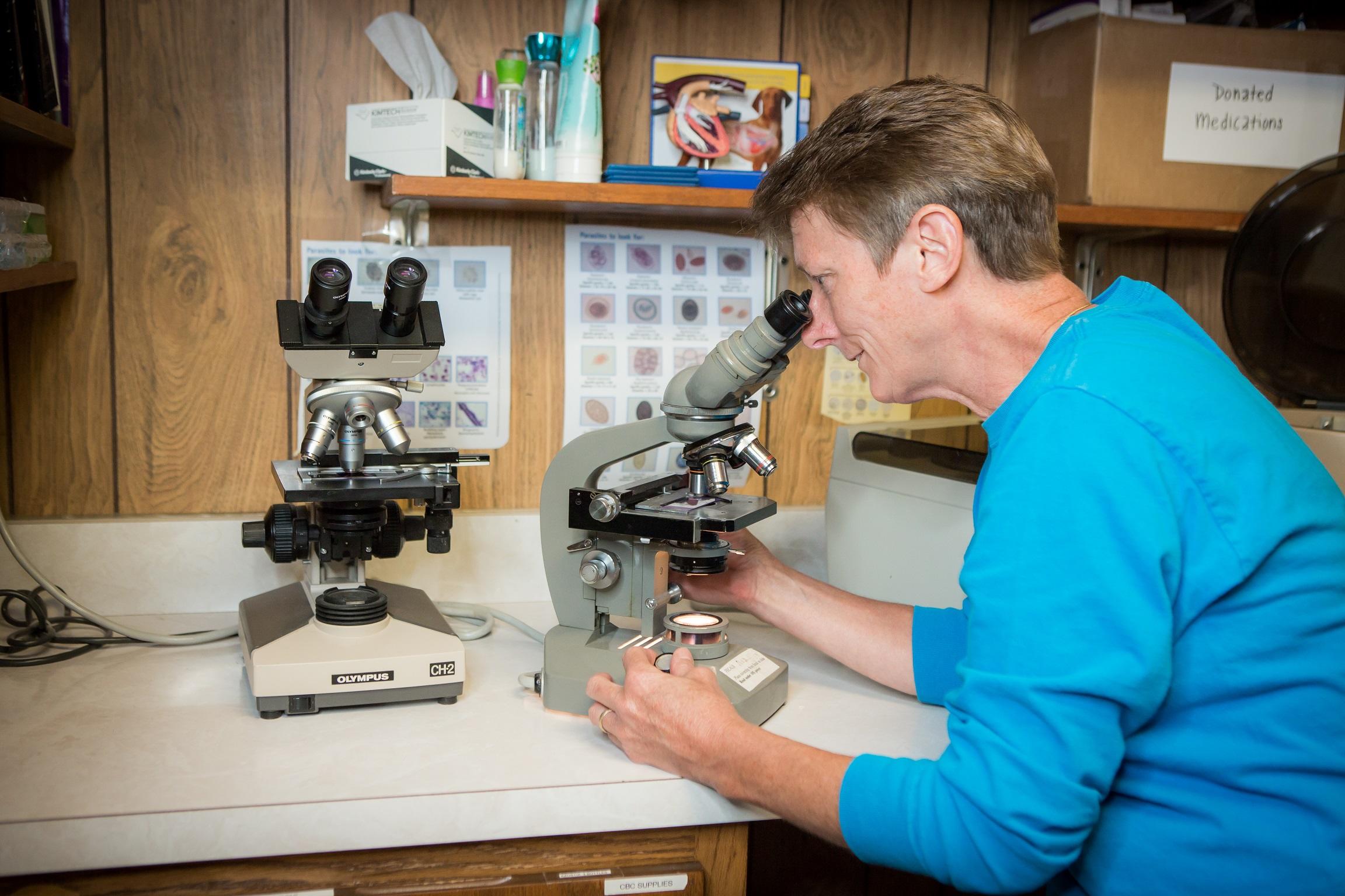 A veterinary technician examines a sample under a microscope. At Dwight Veterinary Clinic, our lab is on-site, helping us return test results immediately.