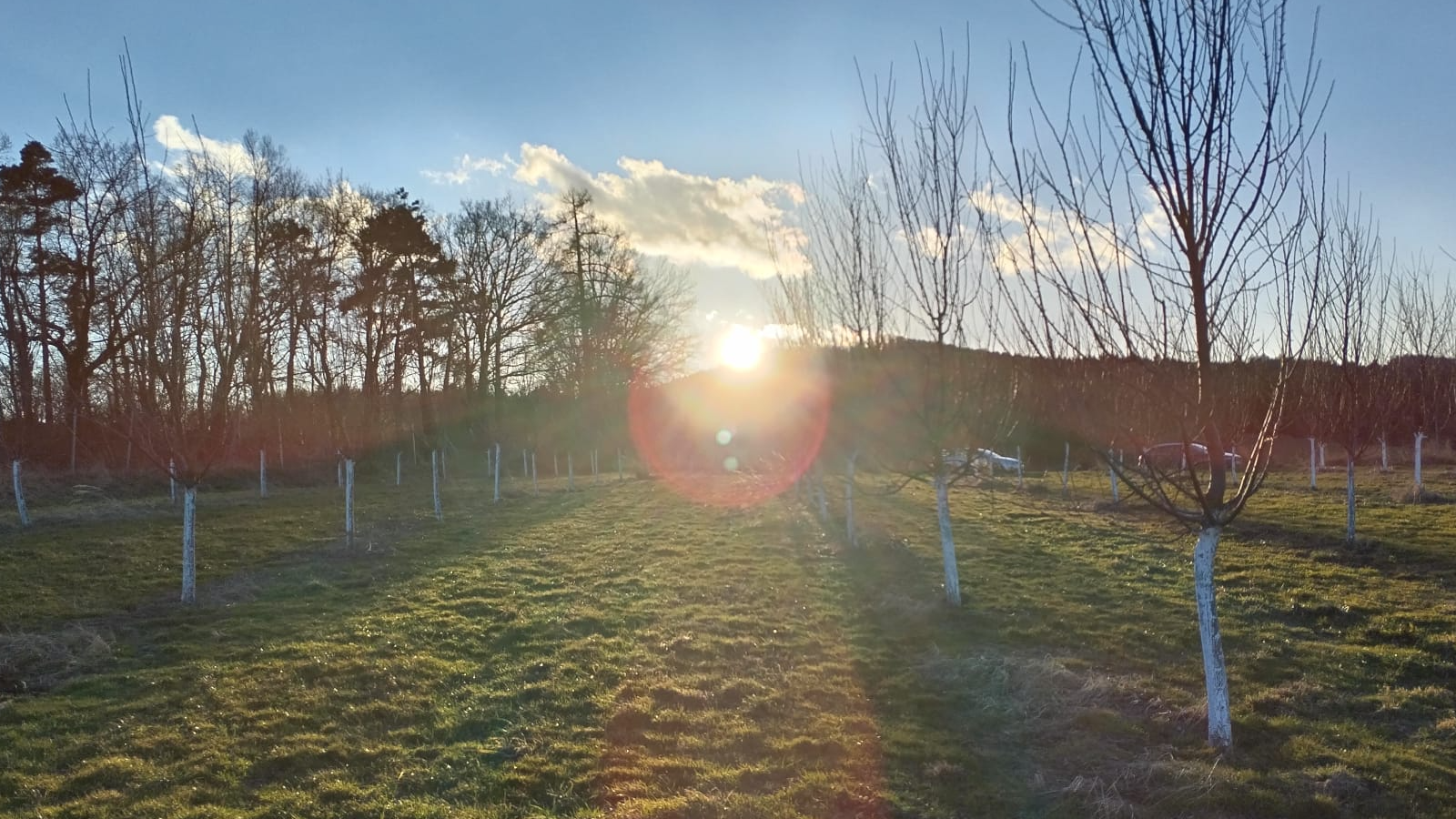 Bild 1 von Eichhornhof