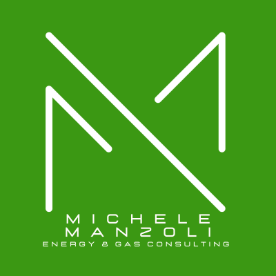 Michele Manzoli - Energy & Gas Consulting Logo