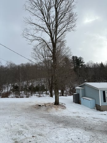 Images Spence’s Tree Care N Landscaping
