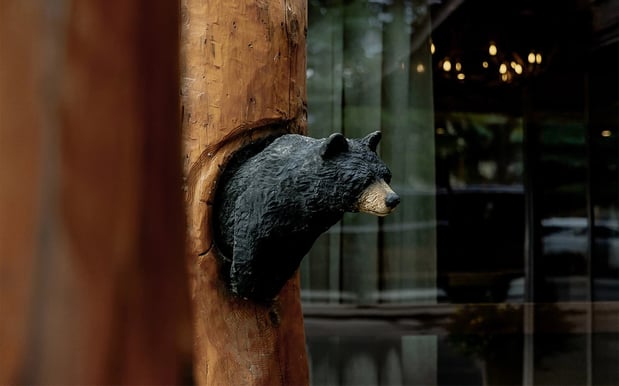 Images The Lodge at Jackson Hole