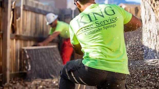 Images King Tree Service