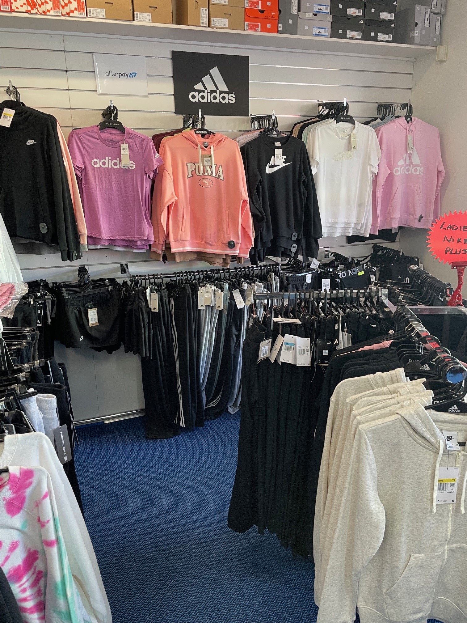 Images Sportfirst Mowbray