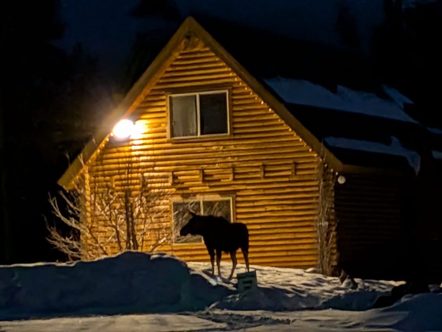 The Cabins at Bear River Lodge Image