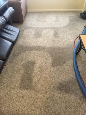 Images Swan Home Services