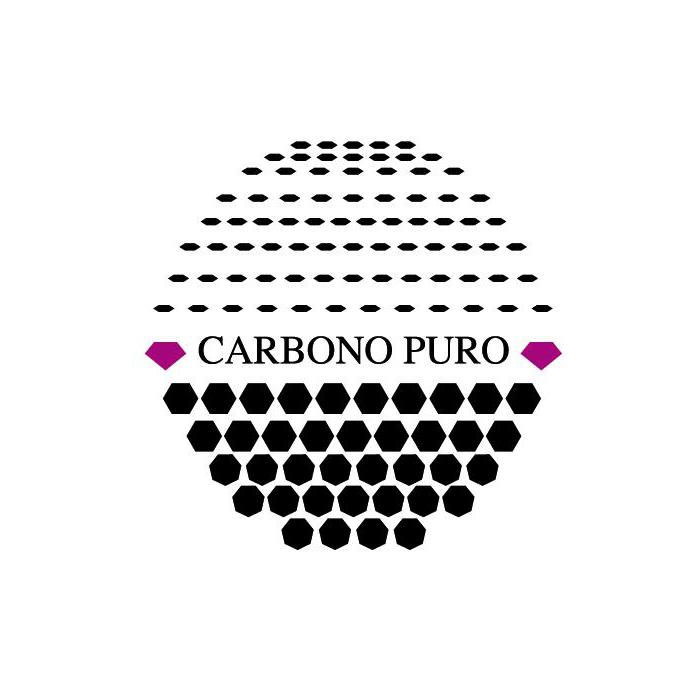 Joyería-Relojería Carbono Puro Logo