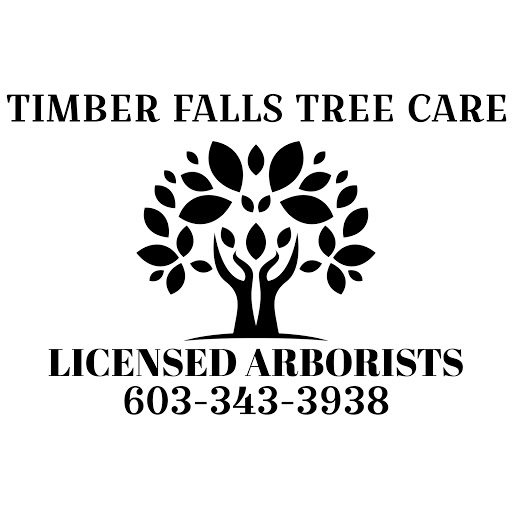 Derek at Timber Falls Tree Care is a licensed arborist.