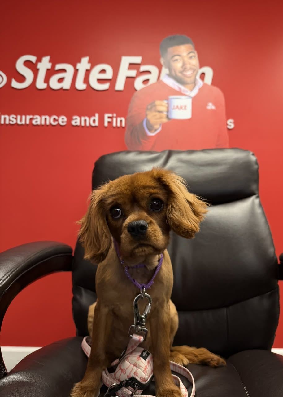 Meet Pippa, our new office pup! Pets are part of the family, and it&rsquo;s worth knowing what options are out there for their care. State Farm works with Trupanion to offer coverage for cats and dogs when they need medical attention. Stop by or give our Savannah State Farm office a call to learn more.