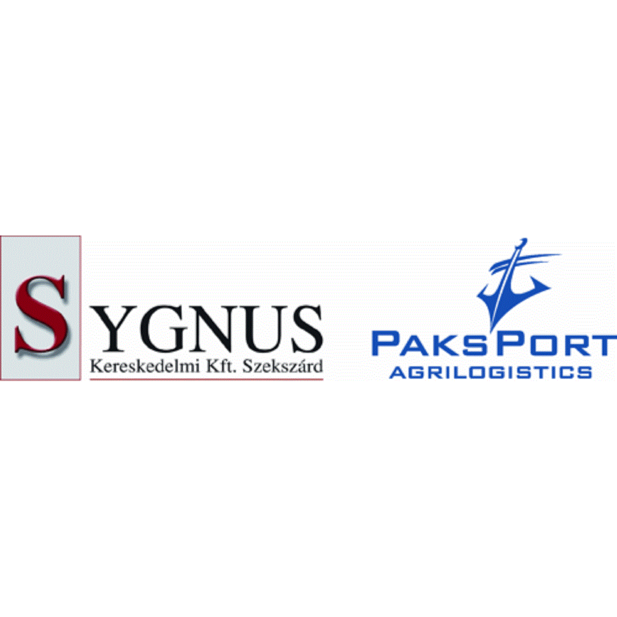 Sygnus Kft. Logo