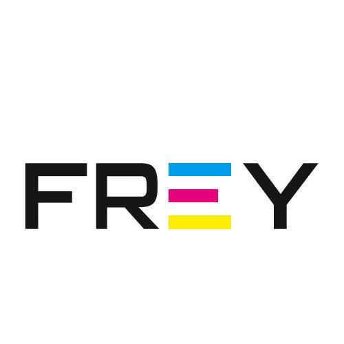 Logo Emil Frey GmbH & Co. KG  |  Druckerei Hamburg