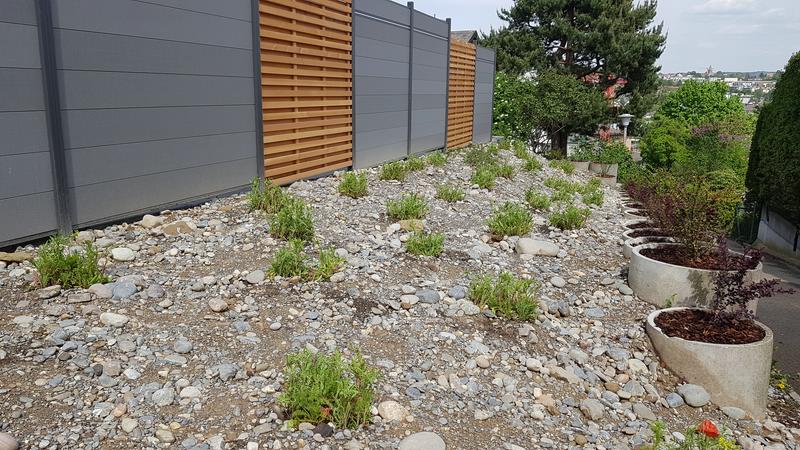 Bilder BRÜHWILER-GARTENBAU, BAUMPFLEGE