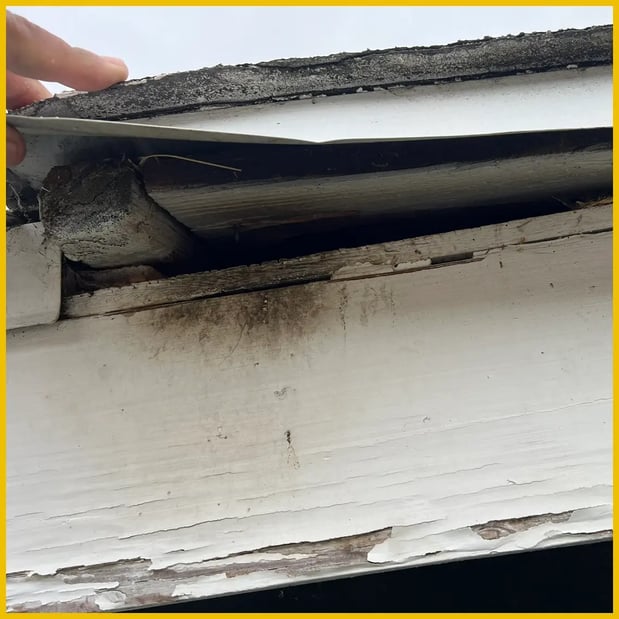 Images Browny Pest Control