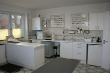 Kleintierpraxis am Mühlenberg, Mühlenberg 16 in Börger