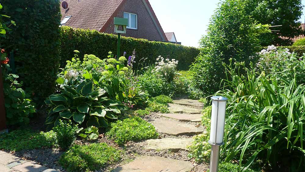 Bilder Blattwerk Uphoff Pflanzenverkauf & Gartengestaltung
