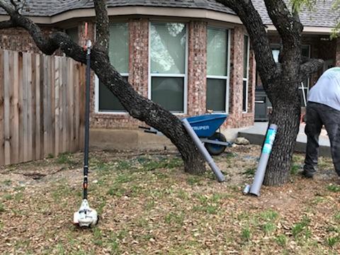 SA Total Tree Service Photo