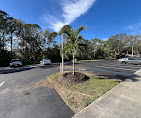 Images Aurora Arbor Care